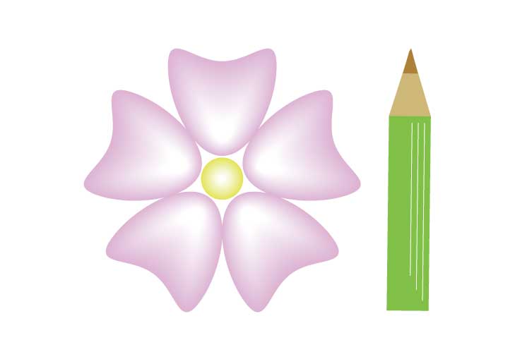 Flower & Pen
